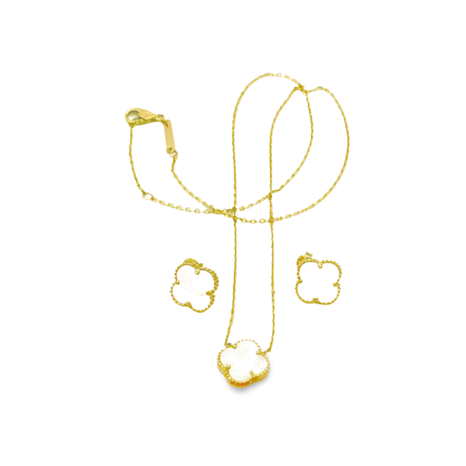 PGN06_NO5